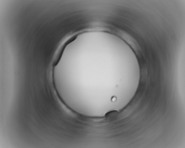 X0000113121484200910091127