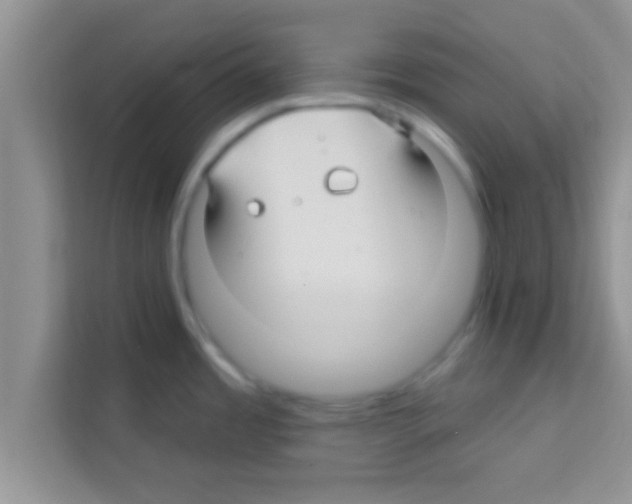 X0000113121485200910091127