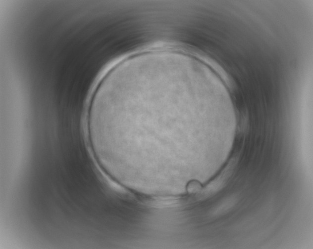 X0000113121486200910091127