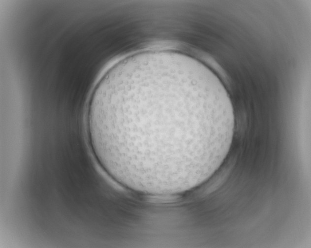 X0000113121487200910091127