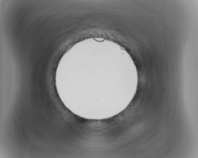X0000113121489200910091126