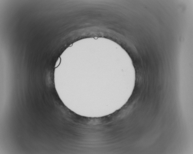 X0000113121490200910091126