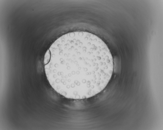 X0000113121491200910091126