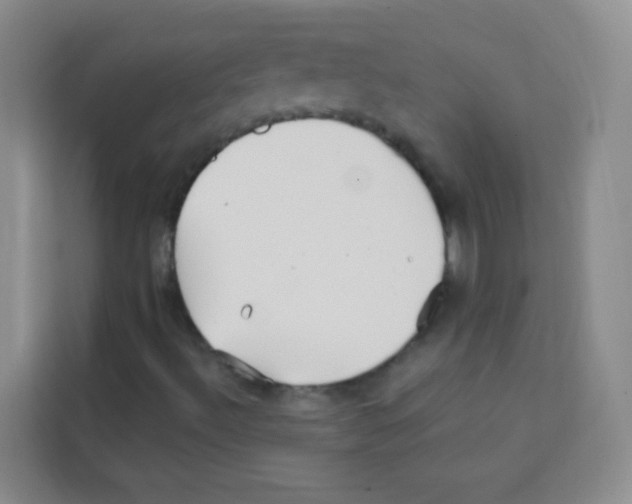 X0000113121492200910091126
