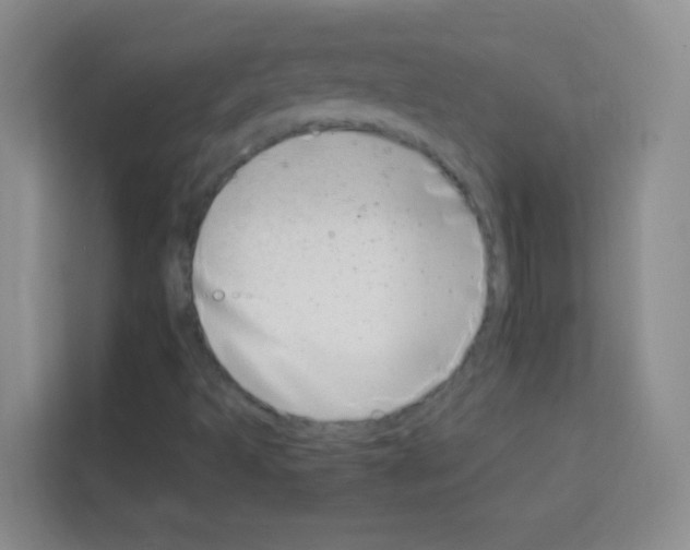 X0000113121493200910091126