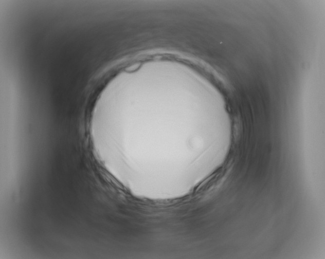 X0000113121494200910091126