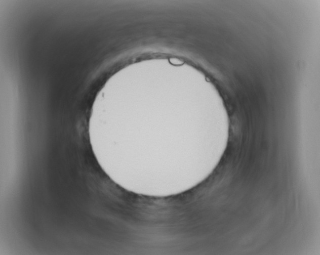 X0000113121495200910091126