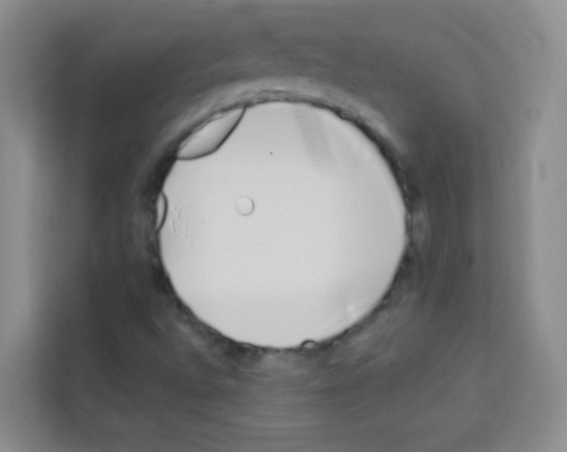 X0000113121496200910091126