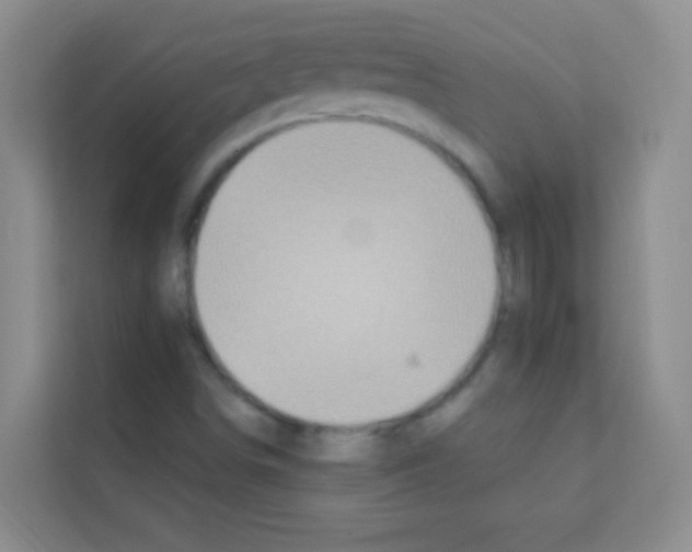 X0000113121498200910091126