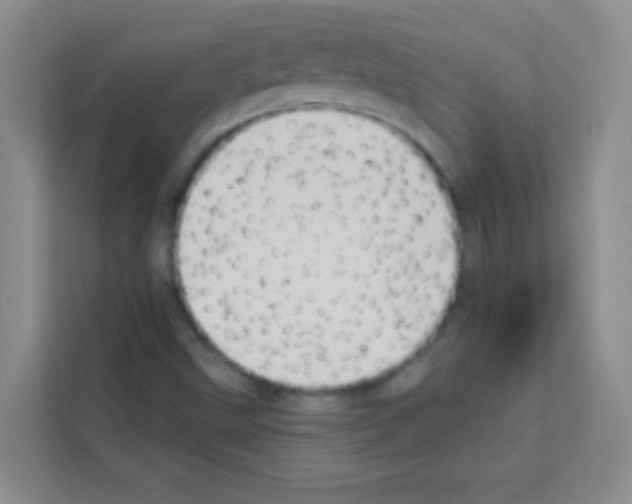 X0000113121499200910091126