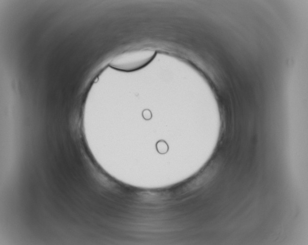 X0000113121500200910091126