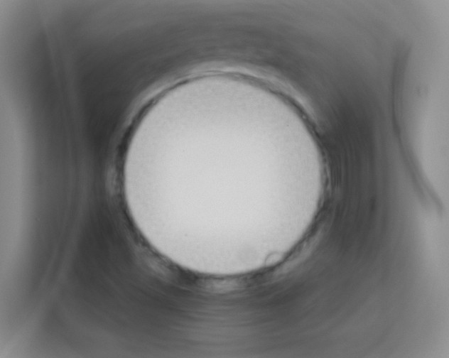 X0000113121501200910091126