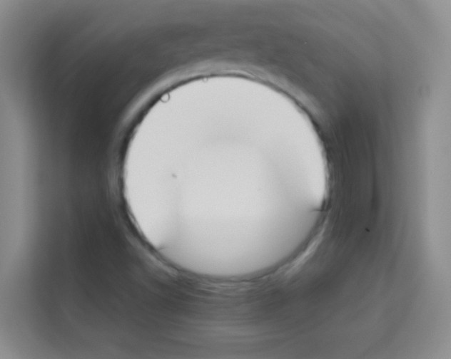 X0000113121502200910091126