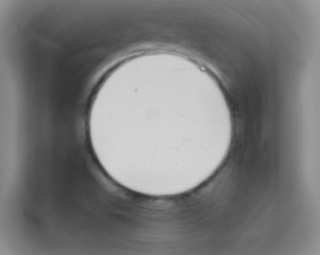 X0000113121503200910091126