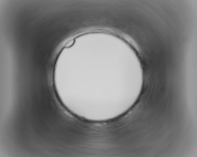 X0000113121504200910091126