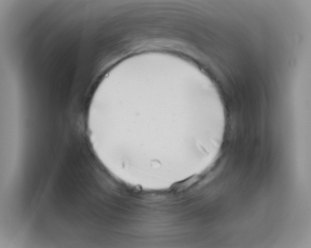 X0000113121505200910091126
