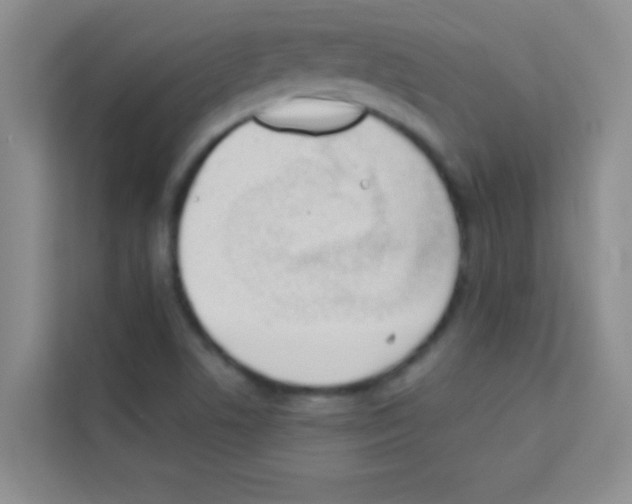 X0000113121506200910091126