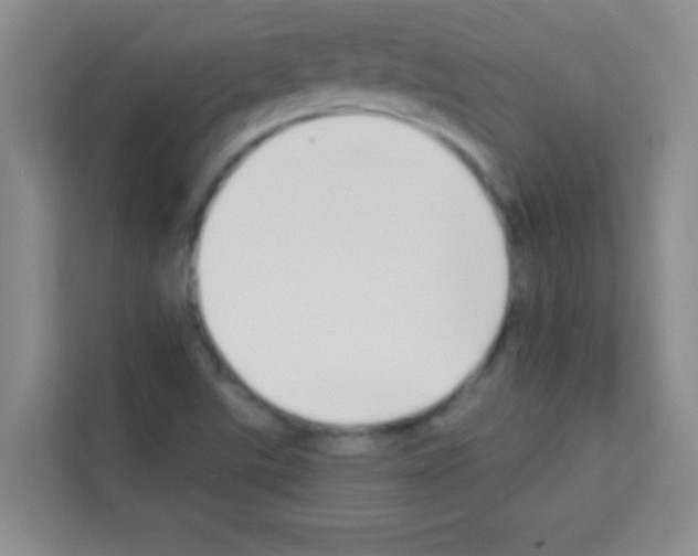 X0000113121507200910091126