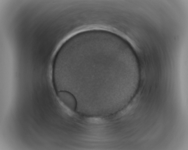X0000113121508200910091126