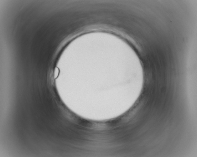 X0000113121509200910091126