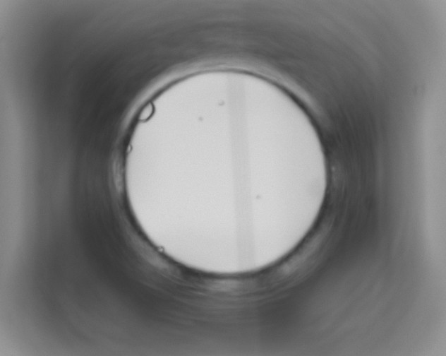 X0000113121510200910091126