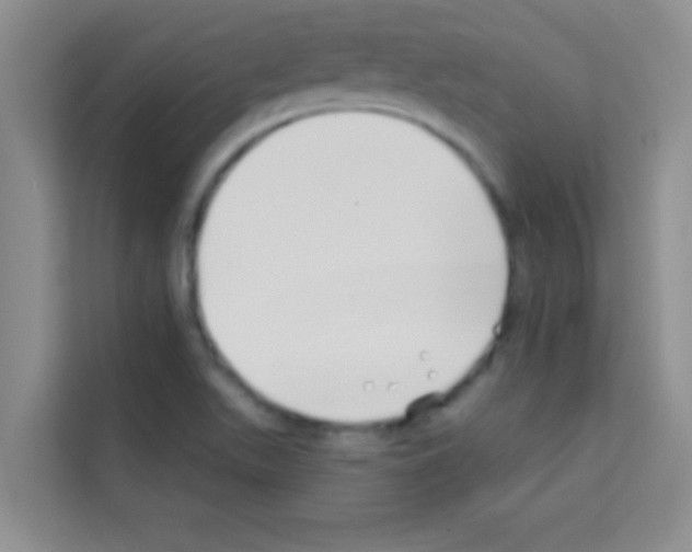 X0000113121511200910091126