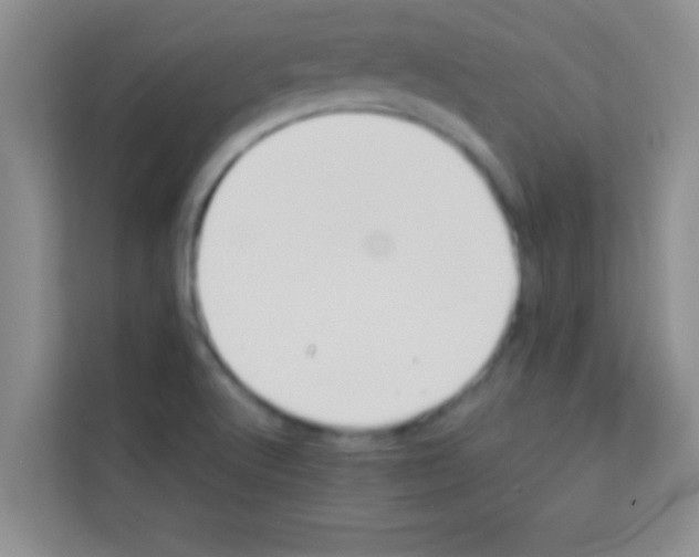 X0000113121512200910091126