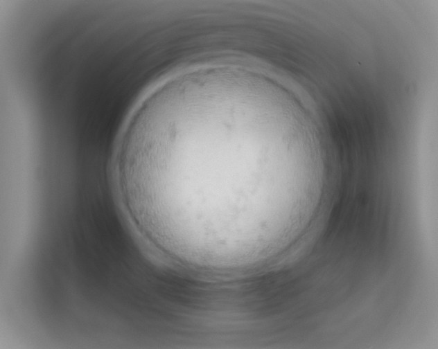 X0000113121514200910091126