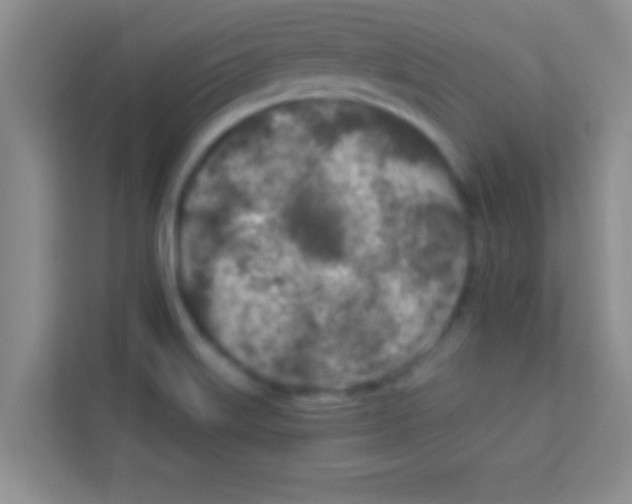 X0000113121515200910091126