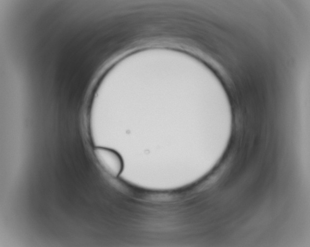 X0000113121517200910091126
