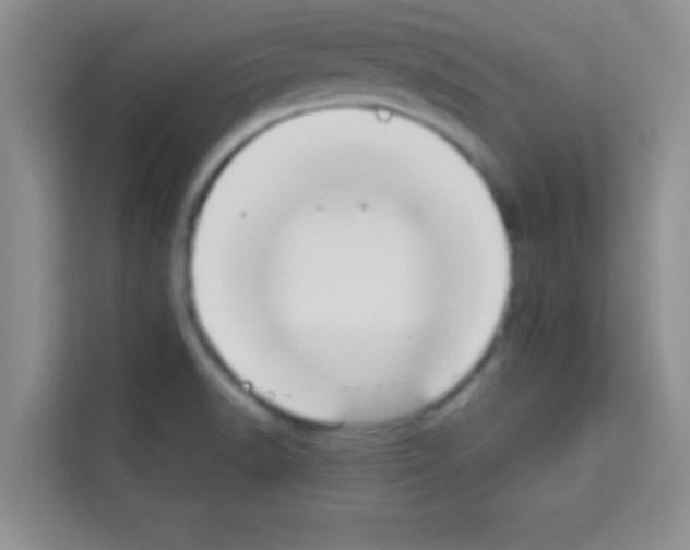 X0000113121518200910091126