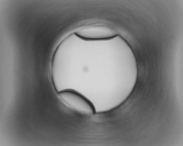 X0000113121520200910091126