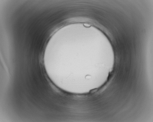 X0000113121521200910091126