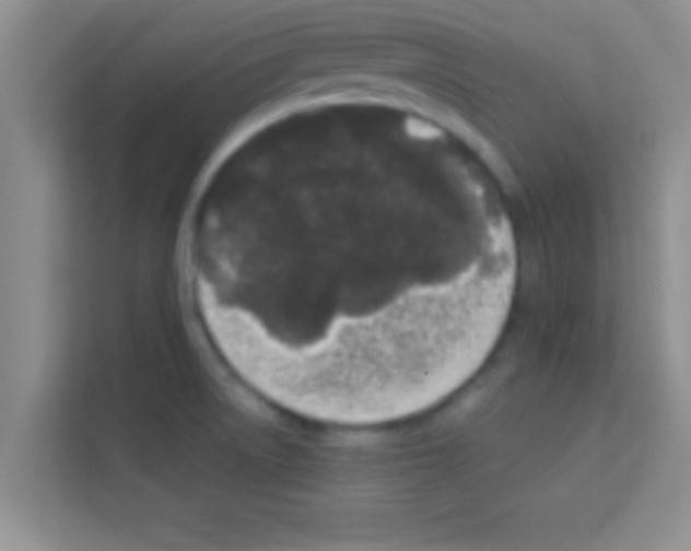 X0000113121522200910091126