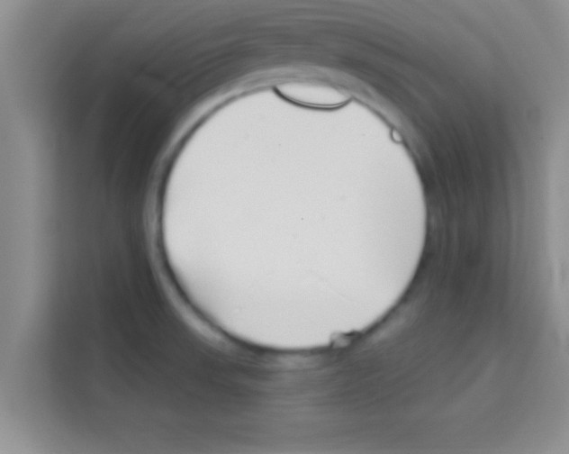 X0000113121523200910091126