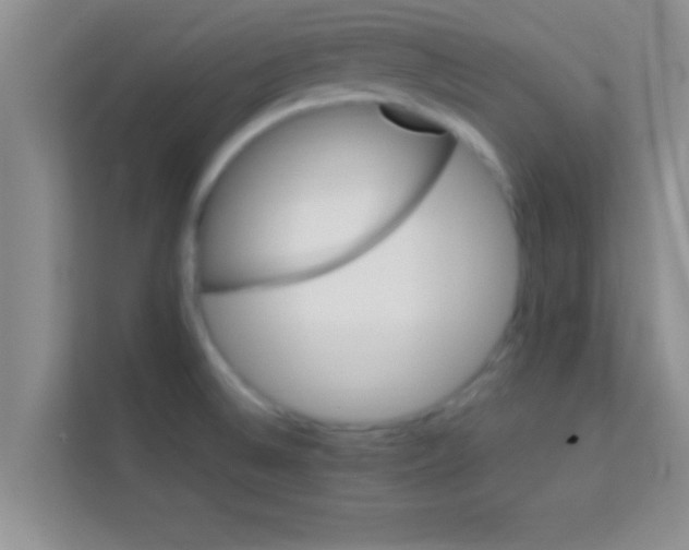X0000113121524200910091126