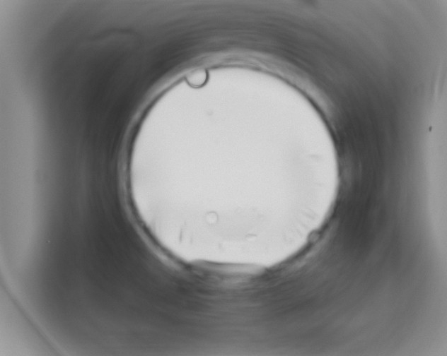 X0000113121525200910091126