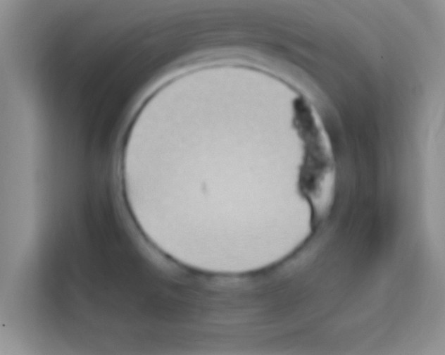 X0000113121526200910091126