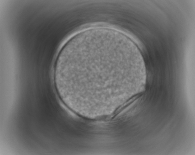 X0000113121527200910091126