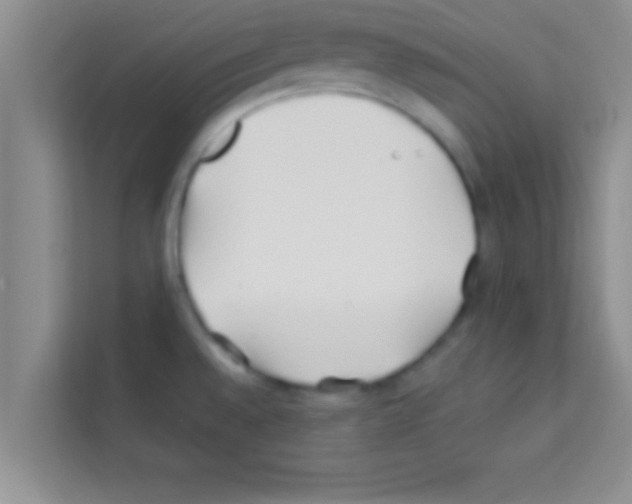 X0000113121528200910091126