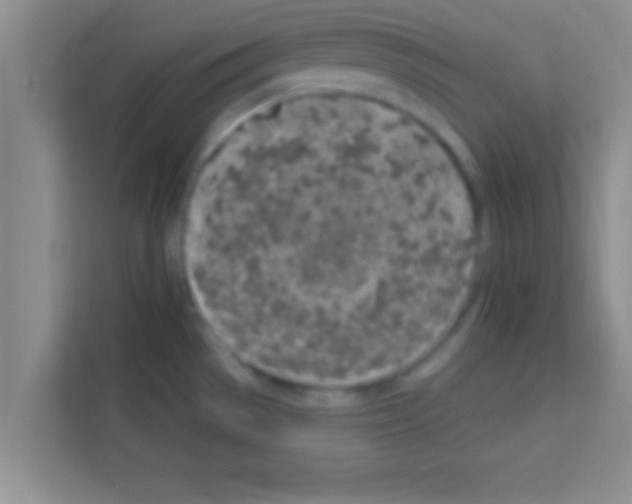 X0000113121529200910091127