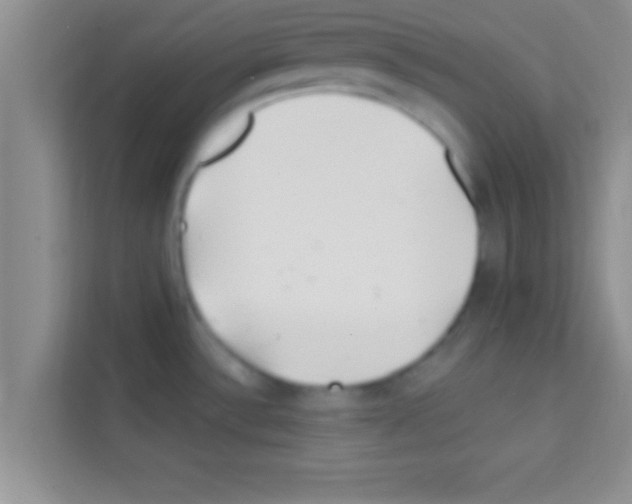 X0000113121532200910091127