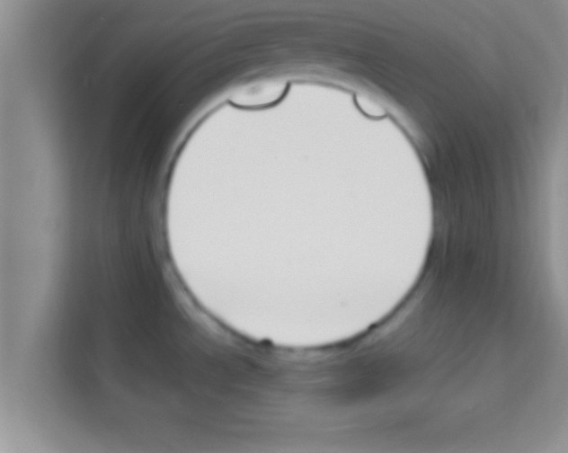 X0000113121534200910091127