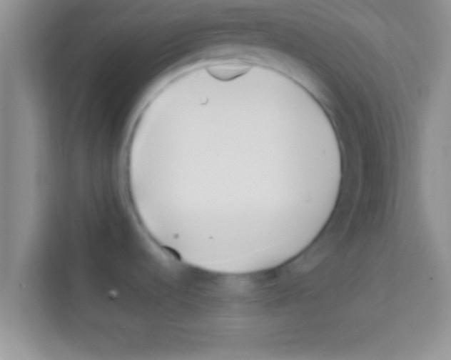X0000113121536200910091127