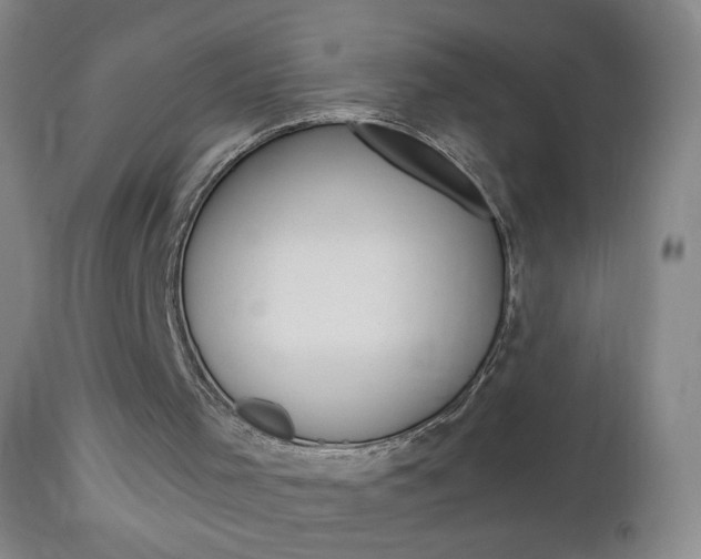 X0000113130001200909040945