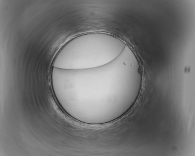 X0000113130002200909040945