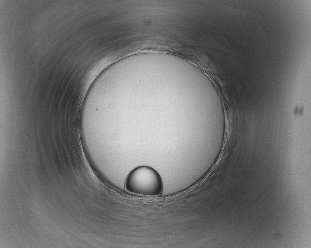 X0000113130003200909040945
