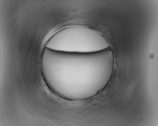 X0000113130004200909040945