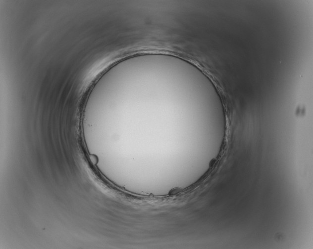 X0000113130005200909040945