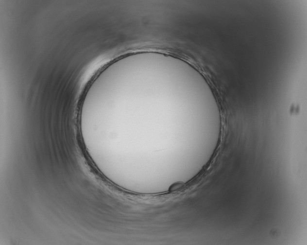 X0000113130006200909040945